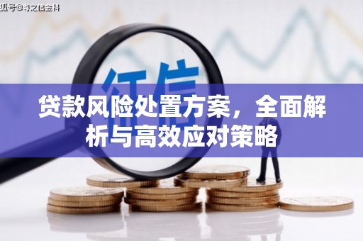 曾都贷款风险处置方案，全面解析与高效应对策略