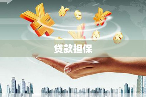 曾都贷款担保