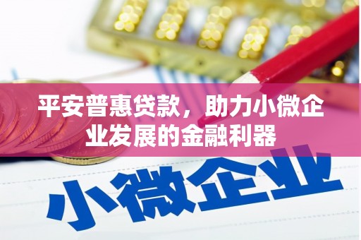 曾都平安普惠贷款，助力小微企业发展的金融利器