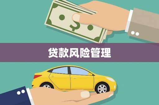 曾都贷款风险管理
