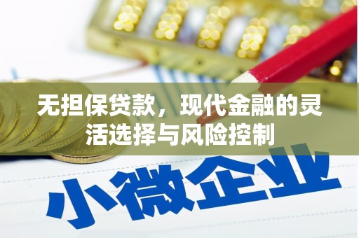 曾都无担保贷款，现代金融的灵活选择与风险控制