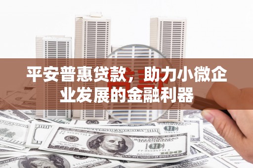 曾都平安普惠贷款，助力小微企业发展的金融利器