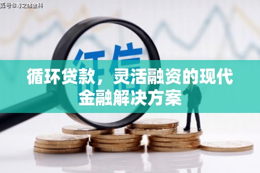 曾都循环贷款，灵活融资的现代金融解决方案