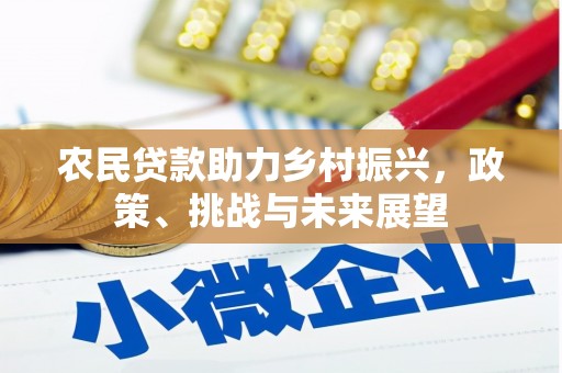 曾都农民贷款助力乡村振兴，政策、挑战与未来展望