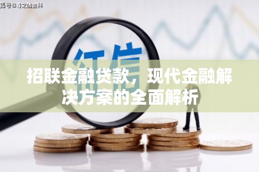 曾都招联金融贷款，现代金融解决方案的全面解析
