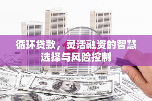 曾都循环贷款，灵活融资的智慧选择与风险控制