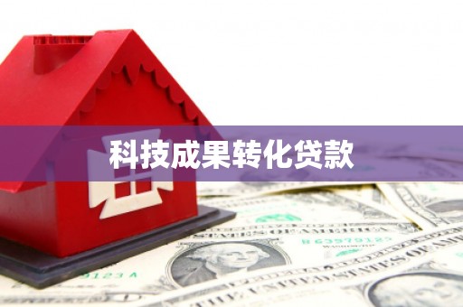 曾都科技成果转化贷款