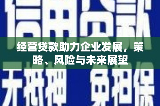曾都经营贷款助力企业发展，策略、风险与未来展望