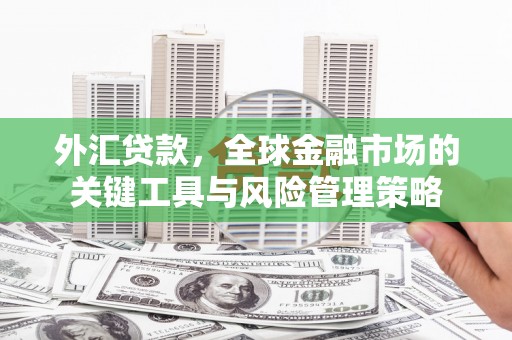 曾都外汇贷款，全球金融市场的关键工具与风险管理策略