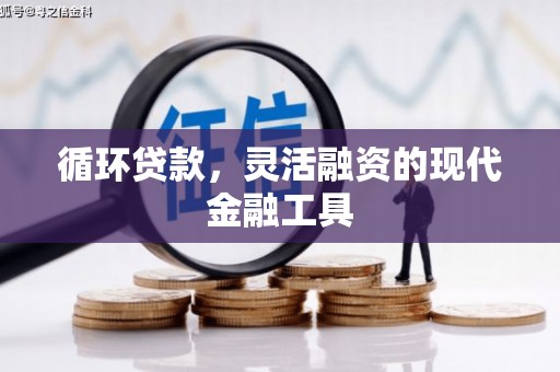 曾都循环贷款，灵活融资的现代金融工具