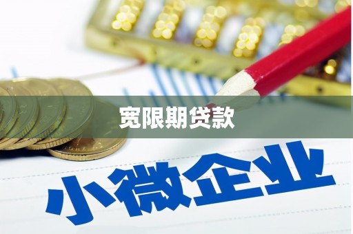 曾都宽限期贷款