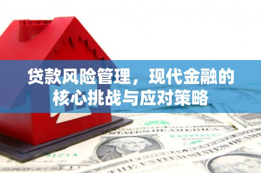 曾都贷款风险管理，现代金融的核心挑战与应对策略