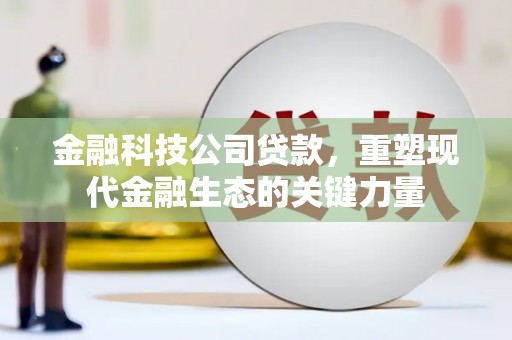 曾都金融科技公司贷款，重塑现代金融生态的关键力量