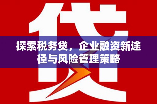 曾都探索税务贷，企业融资新途径与风险管理策略