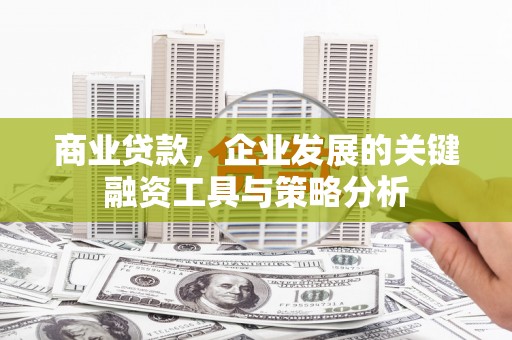 曾都商业贷款，企业发展的关键融资工具与策略分析