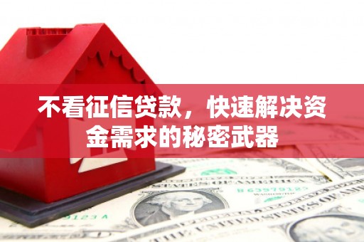 曾都不看征信贷款，快速解决资金需求的秘密武器