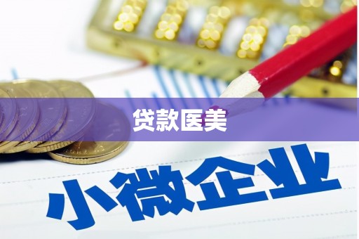 曾都贷款医美