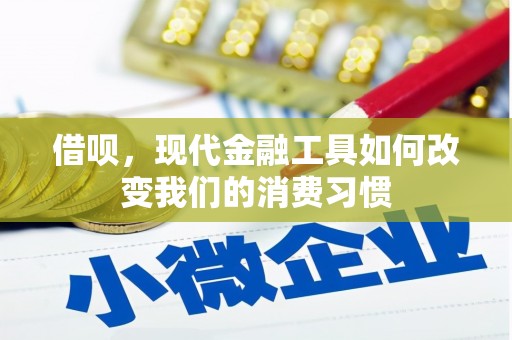 曾都借呗，现代金融工具如何改变我们的消费习惯