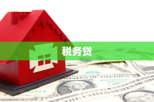 曾都税务贷
