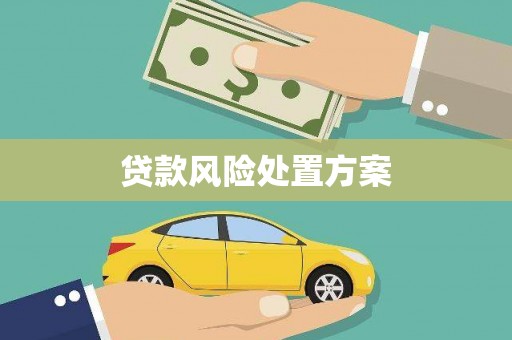 曾都贷款风险处置方案