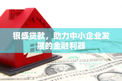 曾都银盛贷款，助力中小企业发展的金融利器