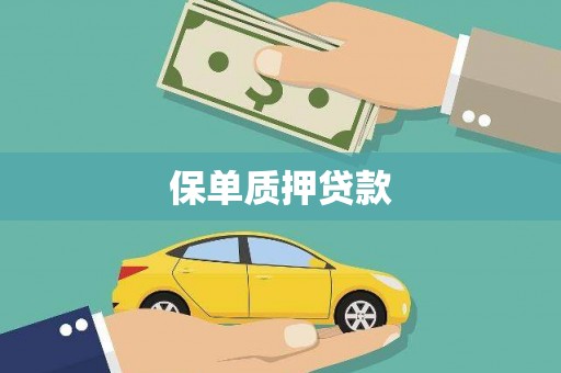 曾都保单质押贷款