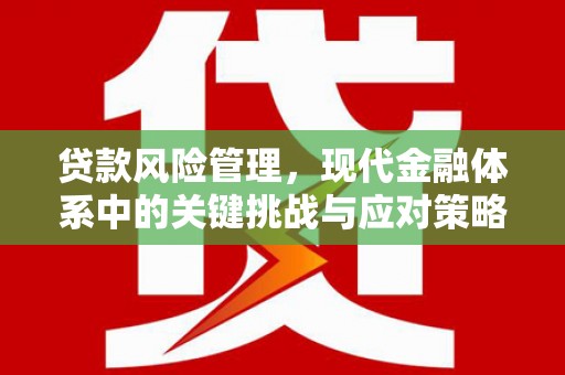 曾都贷款风险管理，现代金融体系中的关键挑战与应对策略