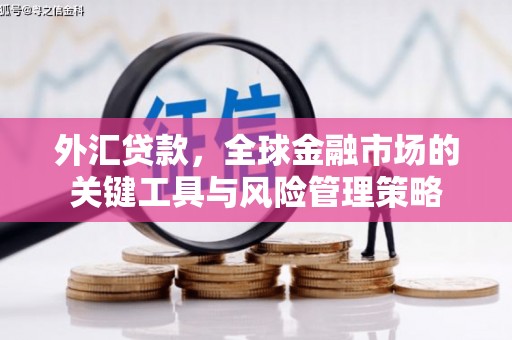 曾都外汇贷款，全球金融市场的关键工具与风险管理策略
