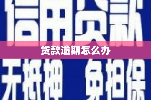 曾都贷款逾期怎么办