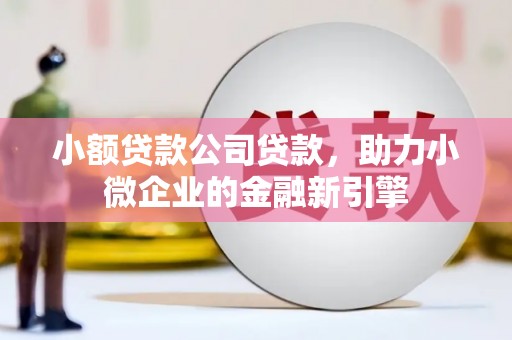 曾都小额贷款公司贷款，助力小微企业的金融新引擎