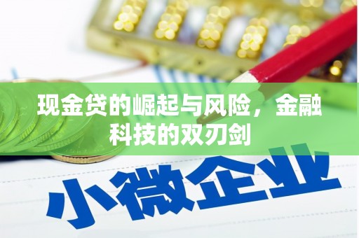 曾都现金贷的崛起与风险，金融科技的双刃剑