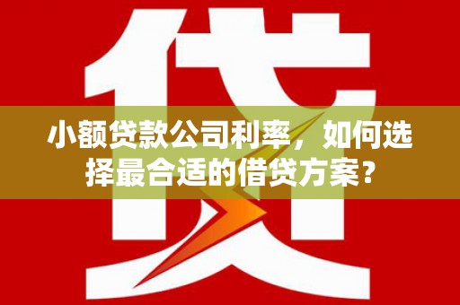 曾都小额贷款公司利率，如何选择最合适的借贷方案？