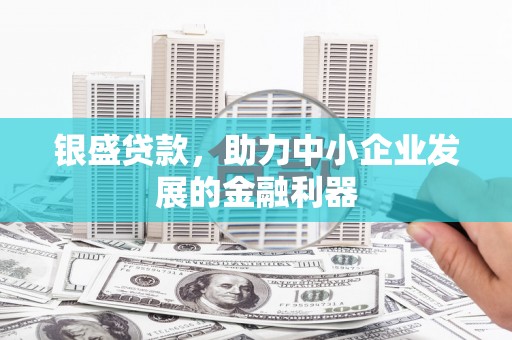 曾都银盛贷款，助力中小企业发展的金融利器