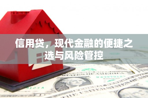 曾都信用贷，现代金融的便捷之选与风险管控