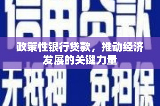 曾都政策性银行贷款，推动经济发展的关键力量