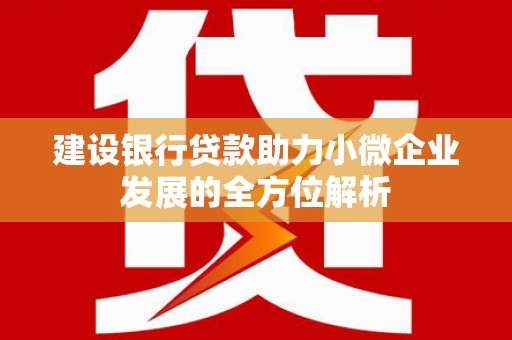 曾都建设银行贷款助力小微企业发展的全方位解析