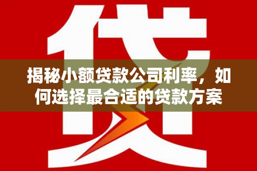曾都揭秘小额贷款公司利率，如何选择最合适的贷款方案