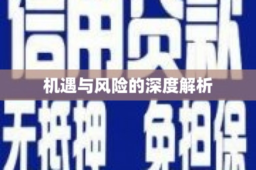 曾都机遇与风险的深度解析