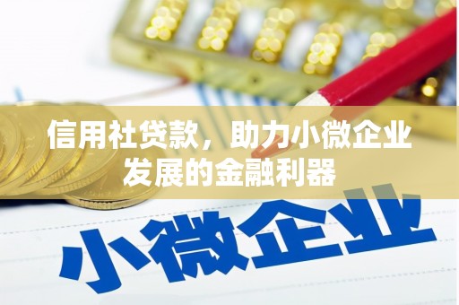 曾都信用社贷款，助力小微企业发展的金融利器