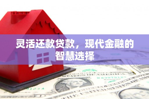 曾都灵活还款贷款，现代金融的智慧选择