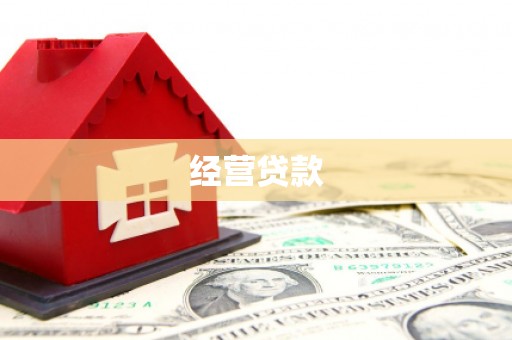 曾都经营贷款