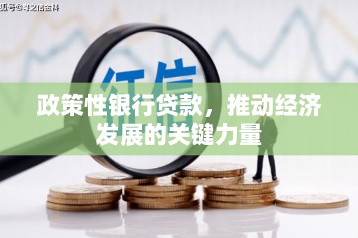 曾都政策性银行贷款，推动经济发展的关键力量