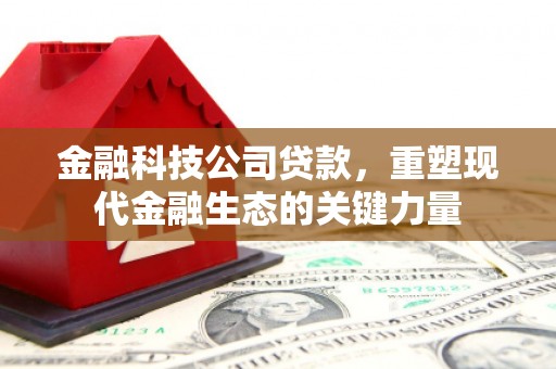 曾都金融科技公司贷款，重塑现代金融生态的关键力量