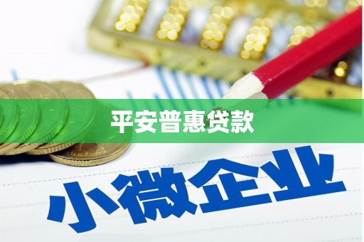 曾都平安普惠贷款