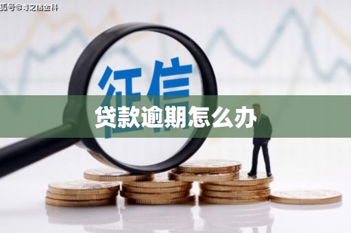 曾都贷款逾期怎么办