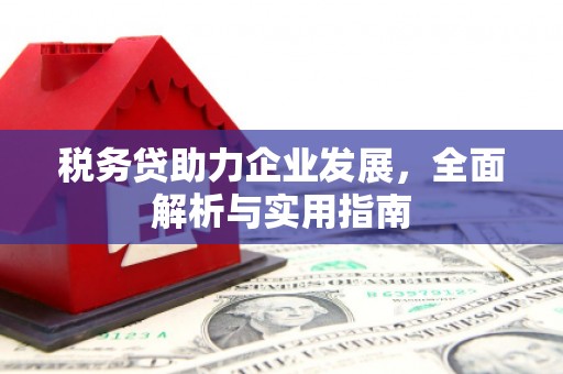 曾都税务贷助力企业发展，全面解析与实用指南