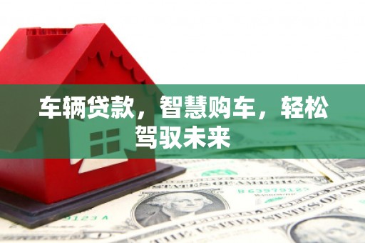 曾都车辆贷款，智慧购车，轻松驾驭未来