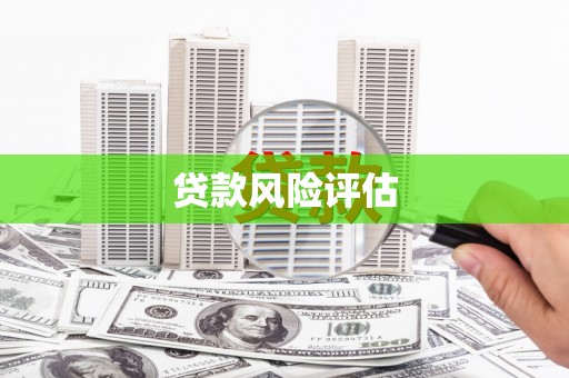 曾都贷款风险评估