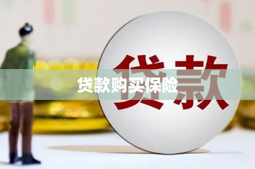 曾都贷款购买保险