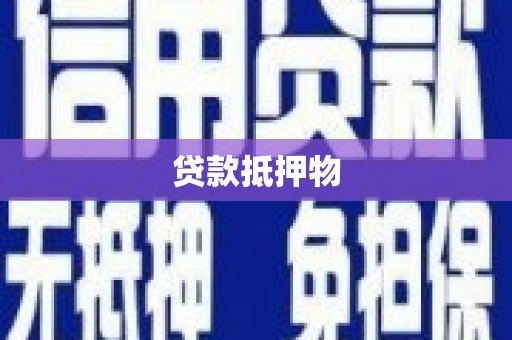 曾都贷款抵押物